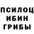 Псилоцибиновые грибы MAGIC MUSHROOMS JasTheAvatar