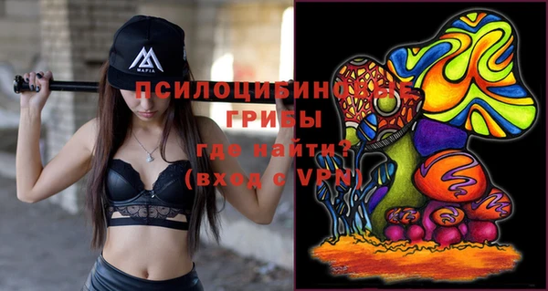 марки lsd Гусь-Хрустальный