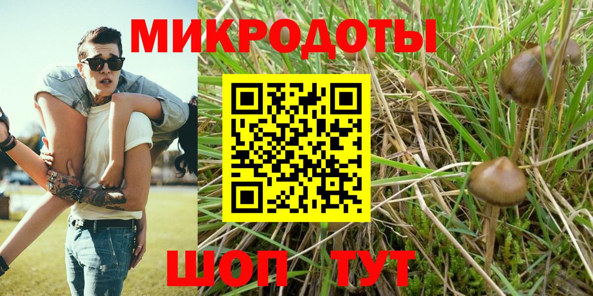 Псилоцибиновые грибы GOLDEN TEACHER Елизово