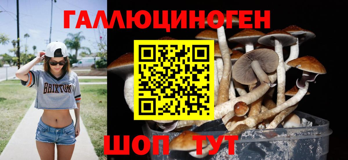 Псилоцибиновые грибы мухоморы  Галлюциногенные грибы Psilocybe  Вход с VPN  Елизово 